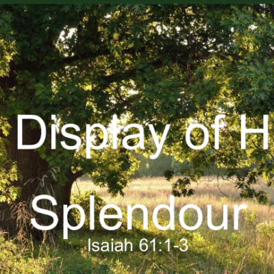 Display of His Splendour
