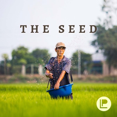 The Soil & The Seed (Part 2)