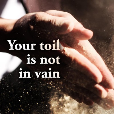 Your Toil Is Not In Vain